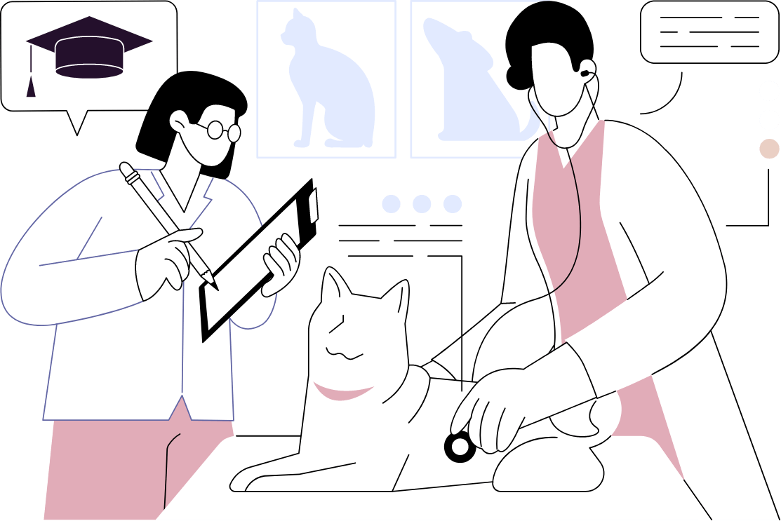 イラスト：診断をしている様子