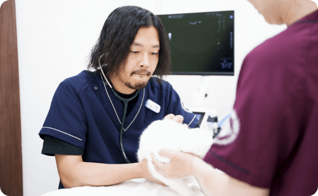 写真：男性獣医師